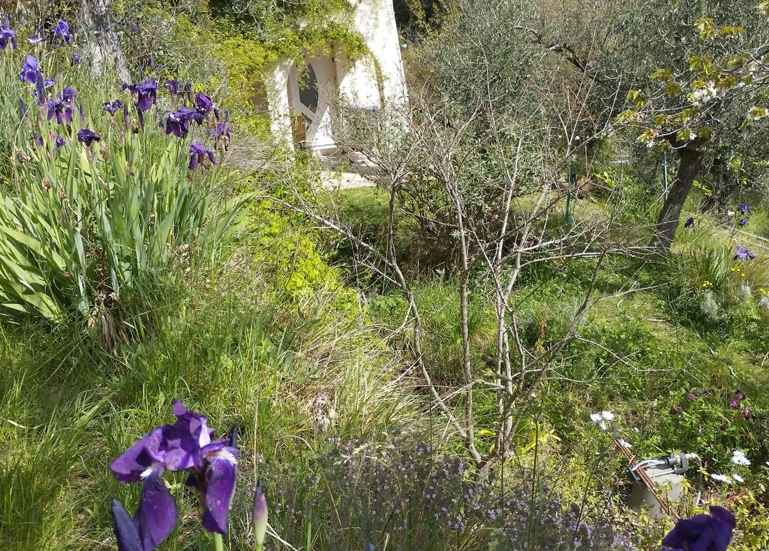 Hébergement de vacances Villa Modestie à Breil-sur-Roya France